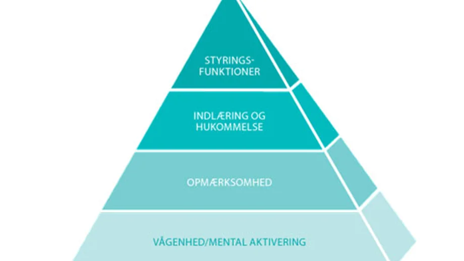 Den kognitive pyramide som viser kognitive funktioner, der kan blive påvirket ved hjerneskade